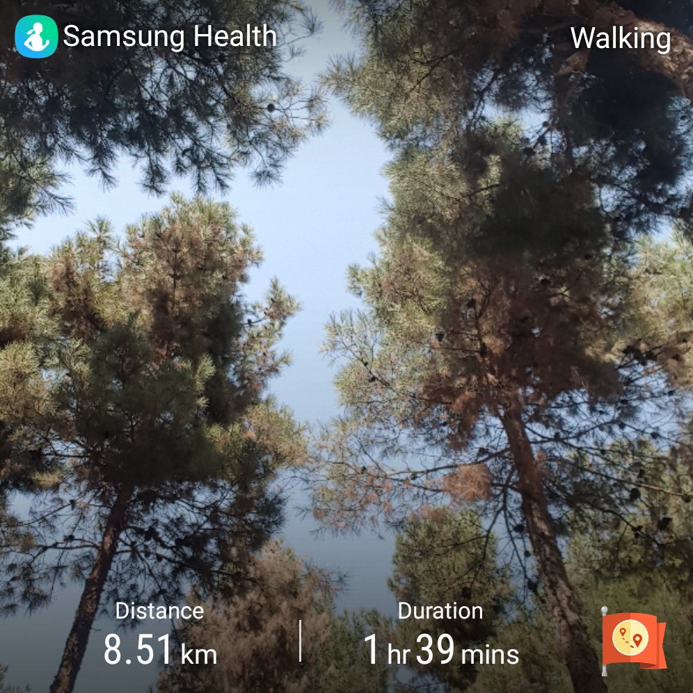 DarbaniMalihe's tweet photo. #walking
#Damahi
دیوانه چو دیوانه ببیند خوشش آید
میترسُم از اون لحظه که دیوونه نباشی...
... https://t.co/y4z8FkRaHa