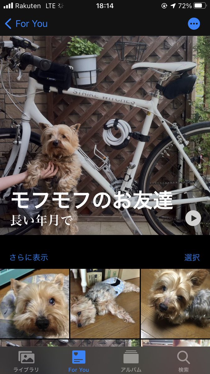 モフモフのお友達 という名のiphoneが勝手に作ってくれるメチャカワアルバム Togetter モフモフのお友達 という名のiphoneが勝手に作ってくれるメチャカワアルバム Togetter