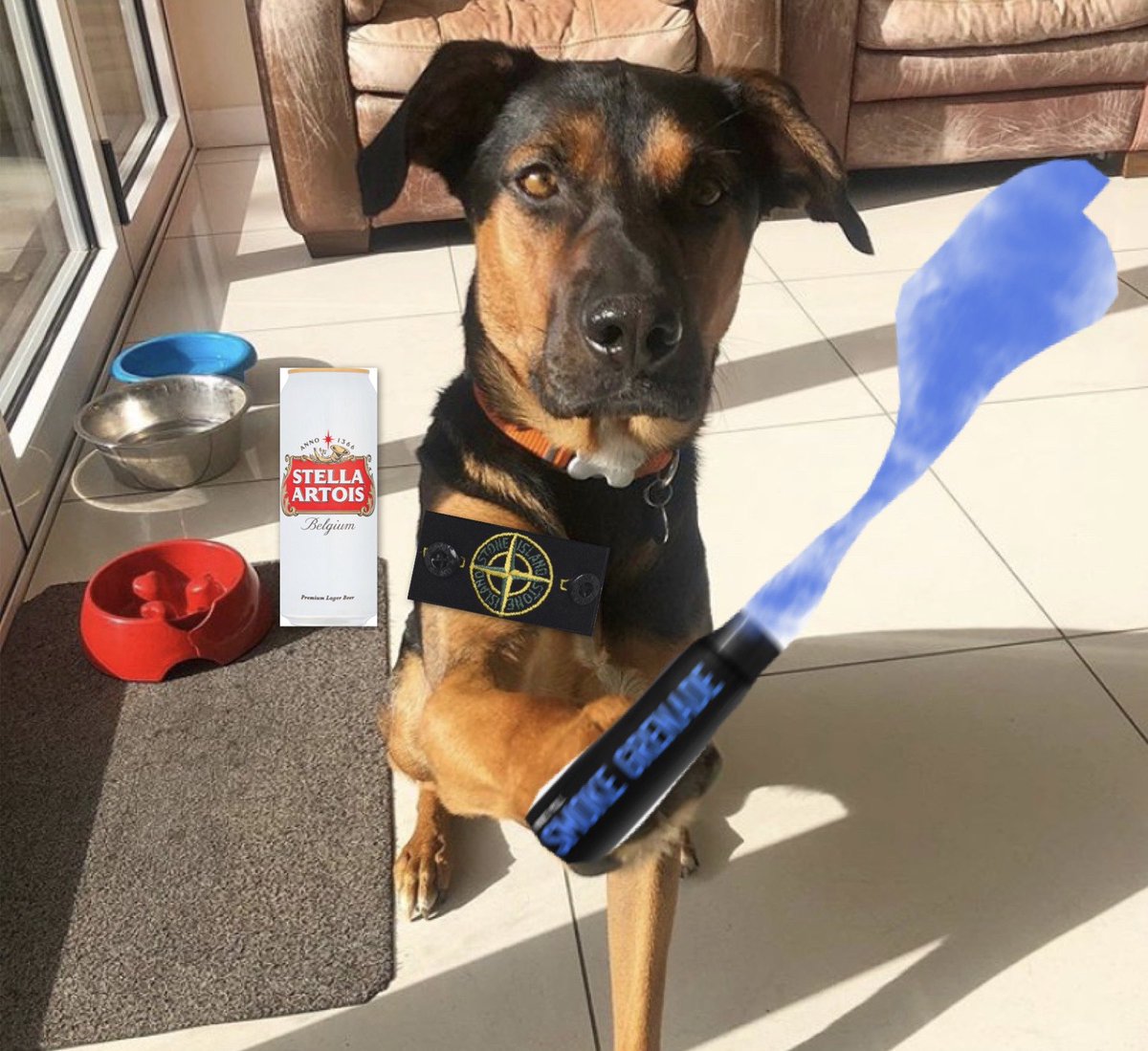 Ready for the battle of Birley Moor Road <a href="/Texastherescue1/">Texas the rescue</a>