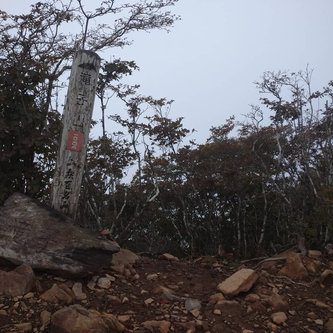 滝子山 Hashtag On Twitter