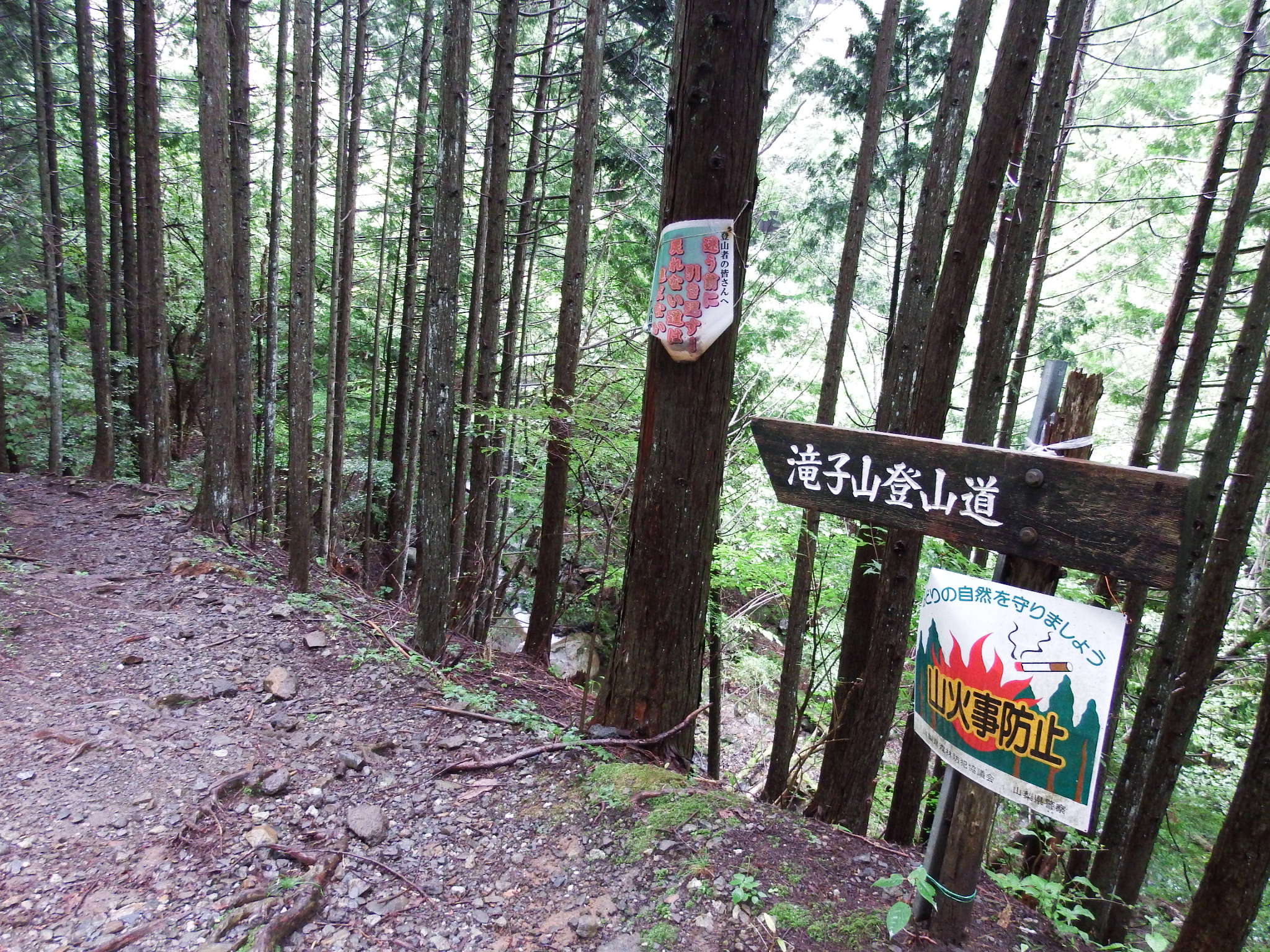 Yana 笹子駅 道証地蔵 ズミ沢 滝子山 初狩駅 富士山がきれいに望める山ですが 予報通り天気に恵まれず一人ひとっこ会わない 山でした 滝子山 T Co Aulkueeabq Twitter
