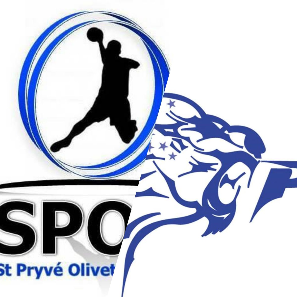 spoh45's tweet photo. ⚫🔵Jour de match ⚫ 🔵
#N2M
#poule3
#J2 
@spoh45 🆚 #EntPlesseenne
⌚20h
🏠Gymnase Belle Arche à St Pryvé-St Mesmin.
⚠️Protocole COVID 😷🧴➡️ https://t.co/Nod3T6EPn4