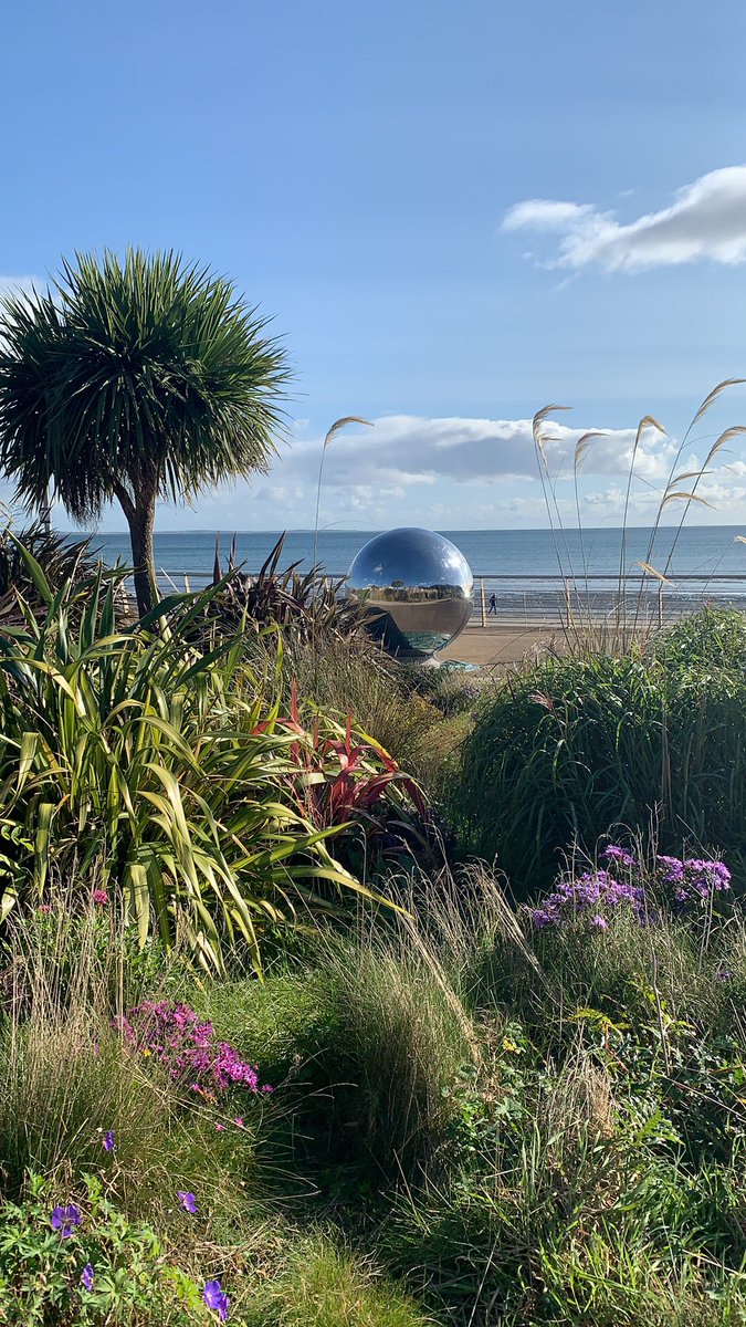 NicolaKerrSmall's tweet photo. Saturday Morning Sunshine in Newcastle @barrabest @newcastlecodown https://t.co/zRMX37tW4R