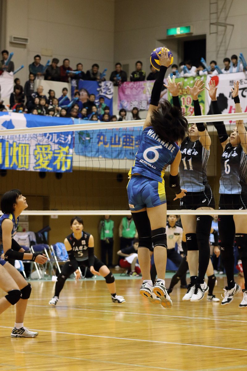 らんばーど C 17 11 18 V チャレンジリーグ 岐阜 安八大会 岡山シーガルズ No 6 渡邊真恵 選手 佐々木美帆 宮井遥 山本裕香 T Co Fzhqo9lno5 安八町総合体育館