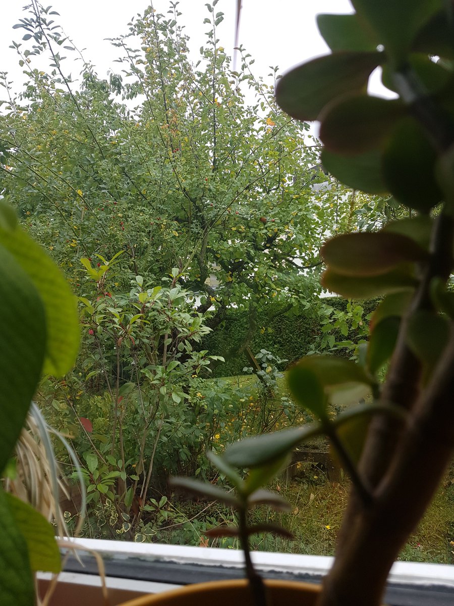 intr0wave's tweet photo. @dasfernlicht Moin &amp; schönes Wochenende euch.

Sehen uns morgen wieder im Stream zum HASCHTAG Breakfsatclub https://t.co/qQT2m2291Z