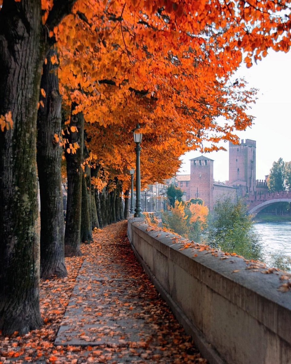 - Arriva l'autunno, ma Verona è sempre in fermento, con la Newsletter ufficiale dello IAT Verona! - mailchi.mp/d2242cba627e/a…