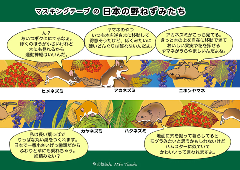 山眠庵 やまねあん いきものフェスオンラインありがとう ネズミまみれ 山眠庵 やまねあん グッズ紹介 マスキングテープ 日本の野ねずみ 日本在来種の野生ネズミ アカネズミ ヒメネズミ ハタネズミ カヤネズミそしてニホンヤマネ 日本の