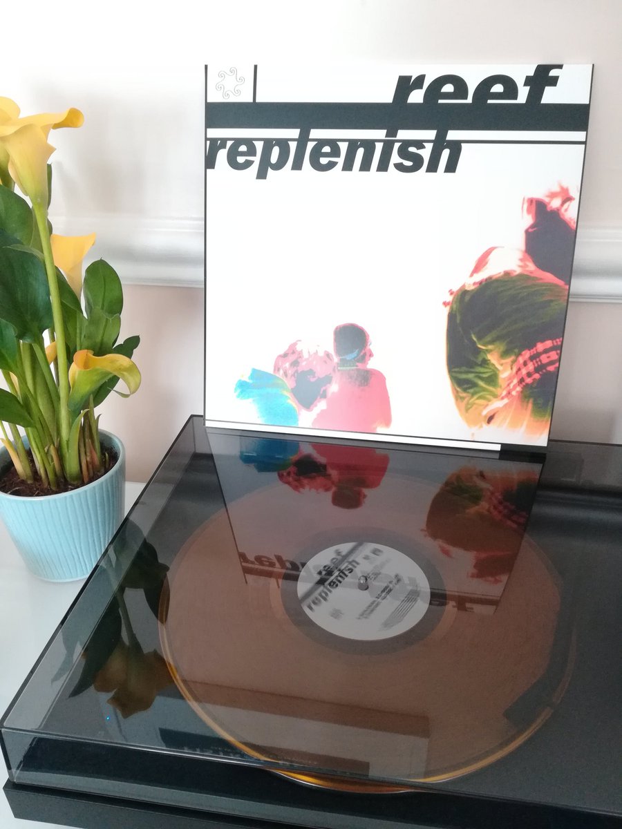 'Tis a thing of beauty... <a href="/reefband/">REEF</a> #replenish25 #vinyl #reissue