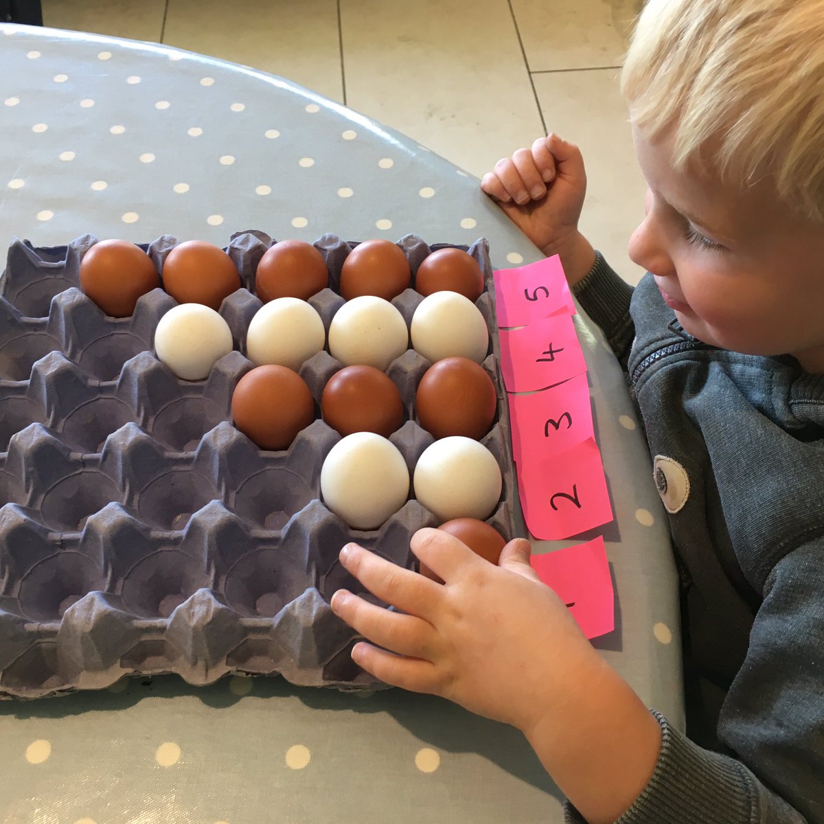 BeechwoodEggs's tweet image. Homework........ Learning to count with eggs! #Eggs #Homework #LearningToCount #SchoolWork