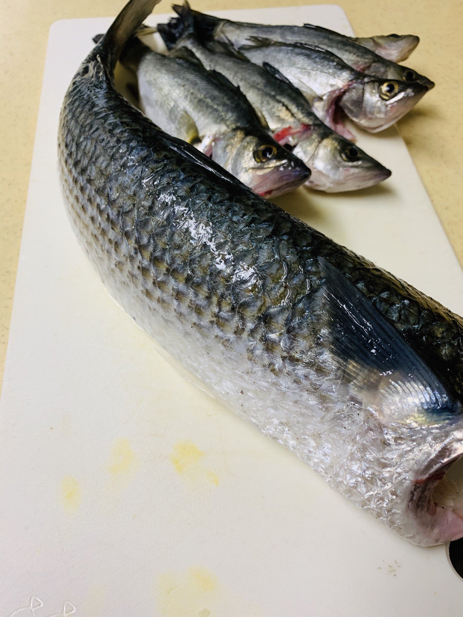 ぴにゃこらーだ 金曜日 仕事終わってから釣り また釣り ټ ﾝﾌ ボラに ロッドを折られてしまったので 持ち帰って美味しく頂くことに フライに 唐揚げ 洗いに刺身 潮汁とボラ皮ポン酢 アラ煮 とても1人では食べきれない量が出来た ﾟ
