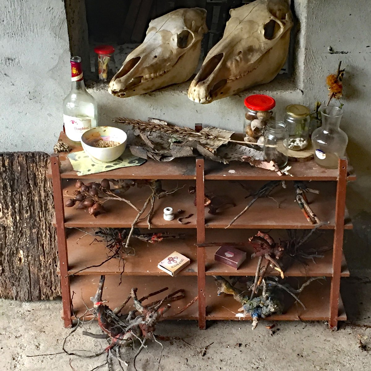 I had an artist friend Saskia Lubbber stay at my place for a few weeks..

she made this beautiful #rariteitenkabinet #mini #MuseumOfNaturalHistory #MementoMori from stuff she found around the house and on the land..

Don't have a TV, but can look for hours at this!