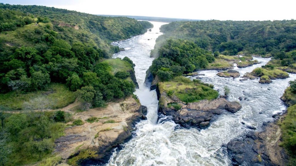 As we prepare for the new week, be informed that Uganda opens its airport on 1st oct for international travelers. For more information on packages for East African routewildsafaris.com/safaris
 
#Top4Wilderness 
#ttot