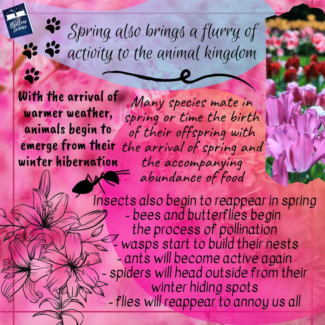 Bedtime_Science's tweet photo. Spring has sprung! 🌻🐾🐜
I hope you all enjoy reading about the prettiest season of all!

#bedtimescience https://t.co/v8OXFZtE6Q