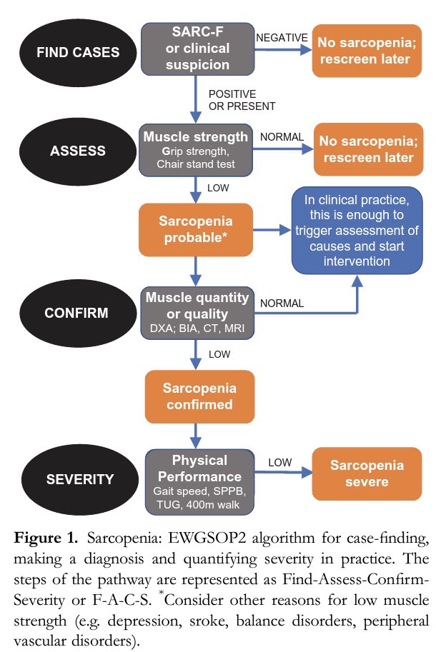 Thankfully the EWGSOP2 has made this easier for me. 1. Use the SARC-F or clinical suspicion.2. If pos, test muscle strength (I’ll come back to this).3. If sarcopenia possible, investigate causes and begin intervention.