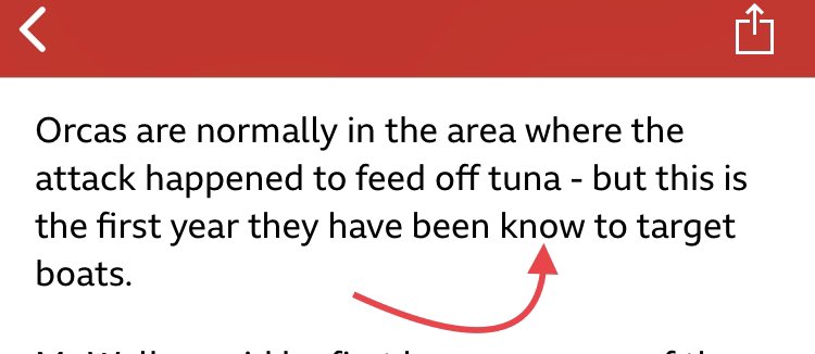 Why typos and spelling mistakes don't really matter - BBC News