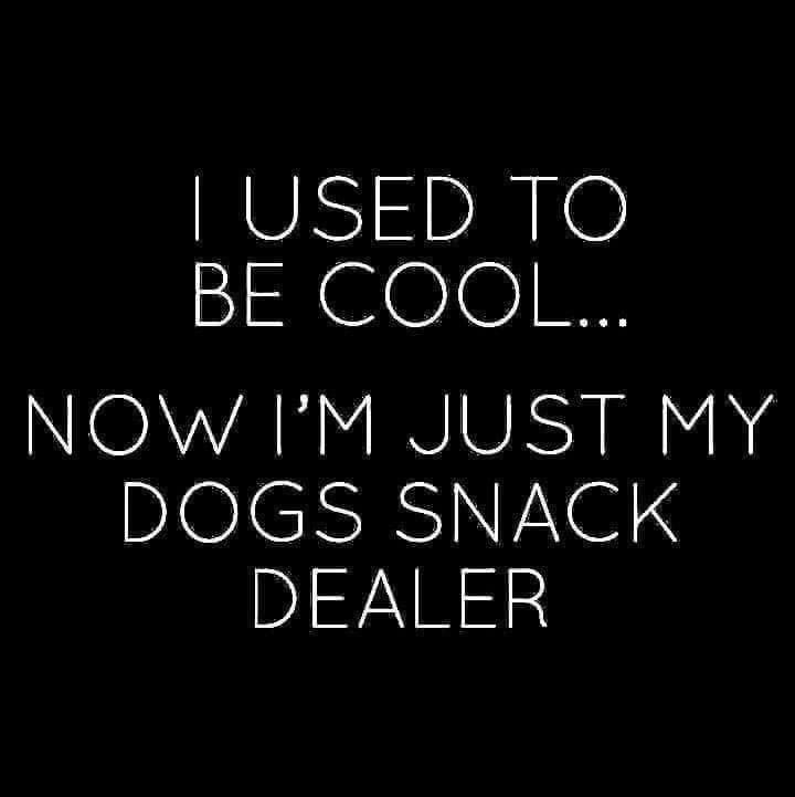 _Carla_N's tweet photo. This made me think of @AlutaMaqoko. She’s even cooler now though with Dior by her side. #LivingTheDream #BoneLife https://t.co/yzOgdkcTds