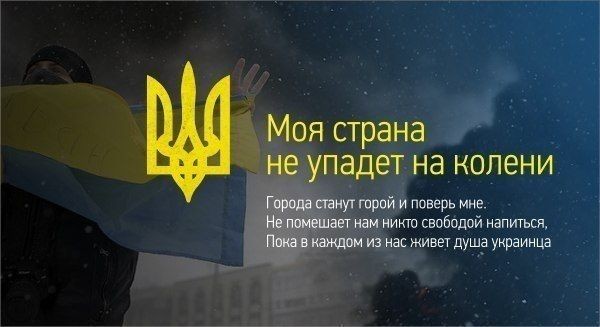 sgorlovki's tweet image. 