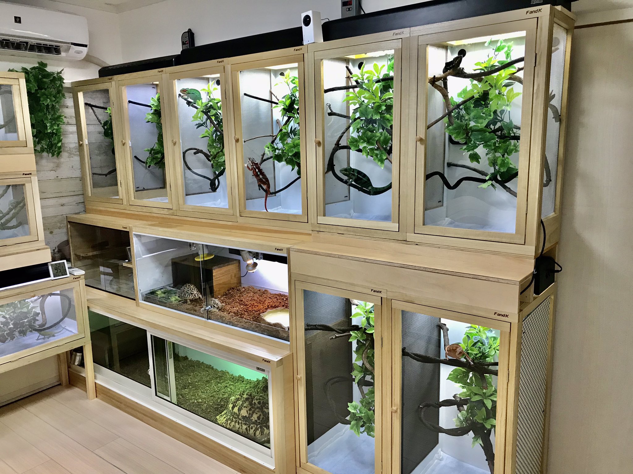 メーカー直売】 ツイ様専用 ＦandＫ爬虫類木製ケージ 引き出し仕様