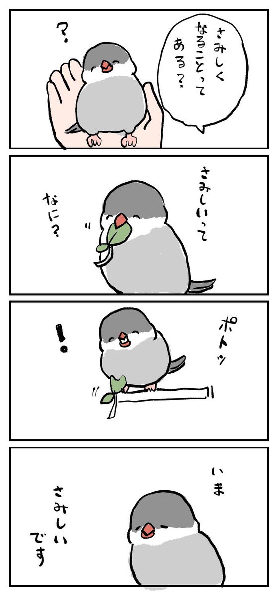 手乗り文鳥の思考その4
小鳥、食べものやおもちゃを落として呆然としがち。 