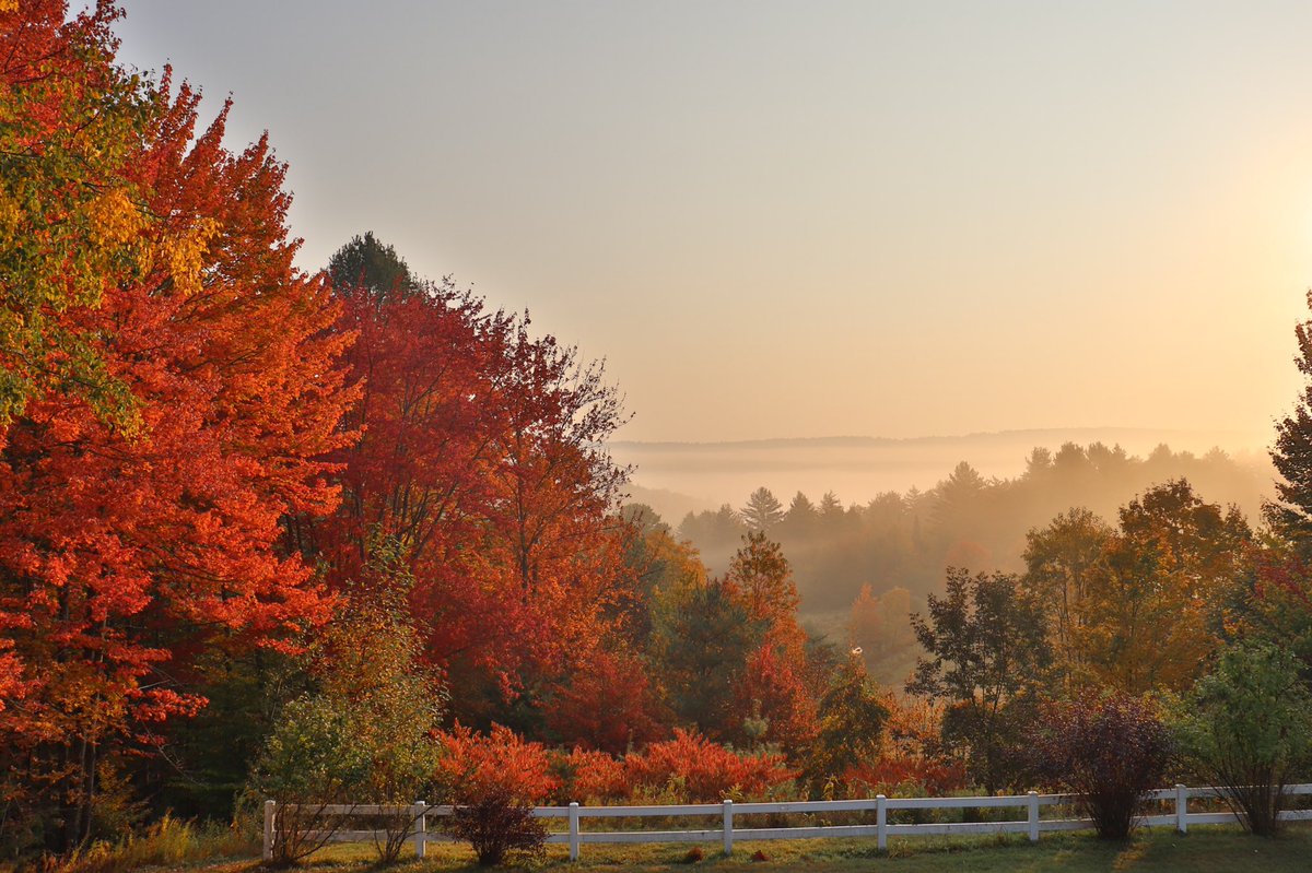 This never gets old. VERM❤️NT is showing off.