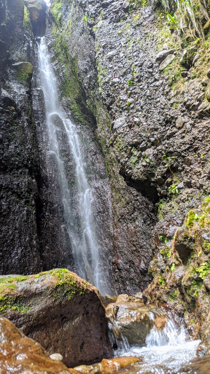 AMadisetti's tweet photo. Since this is the 3rd day in a row with the temp over 35°c up here, here's a picture of Bwa Nef falls in forest of NE Dominica. (Pixel3) At least it was cool whilst there. @wextweets @AP_Magazine @ThePhotoHour #discoverdominica @ImagesDominica @caribbeannewsuk https://t.co/i4UsnPuAB2