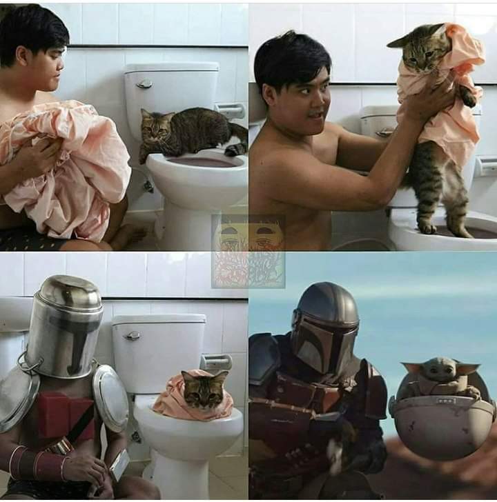 SombradeImperio's tweet image. This is the... WC 😉🤣🤣
#TheMandalorian #StarWars