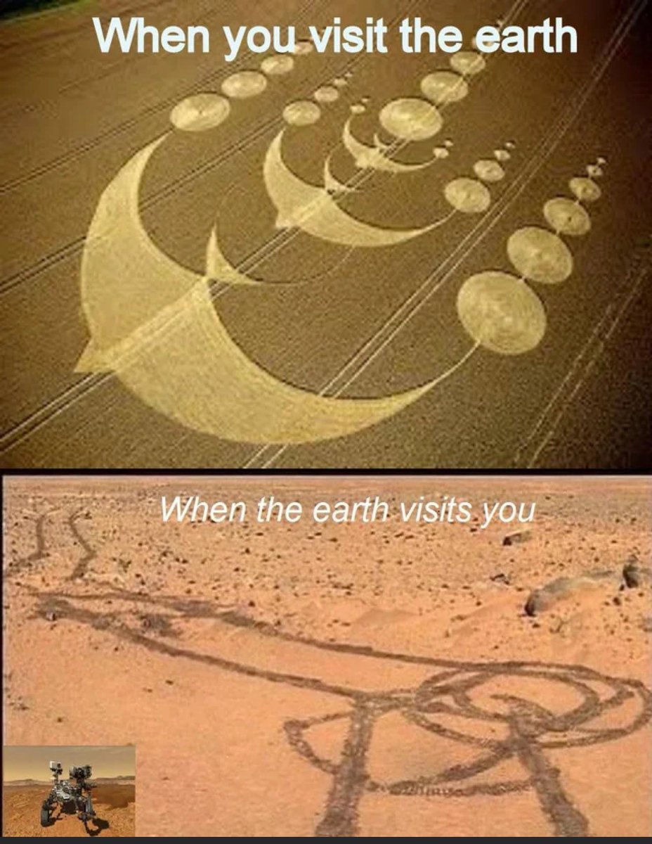 EvaFox's tweet image. 