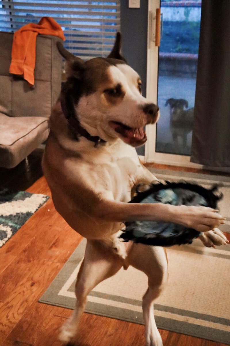 DerekMears's tweet photo. If you think his frisbee game is weird, you should see him golf.
#CharlieAtari
#boxsky https://t.co/p17VHqQaz7