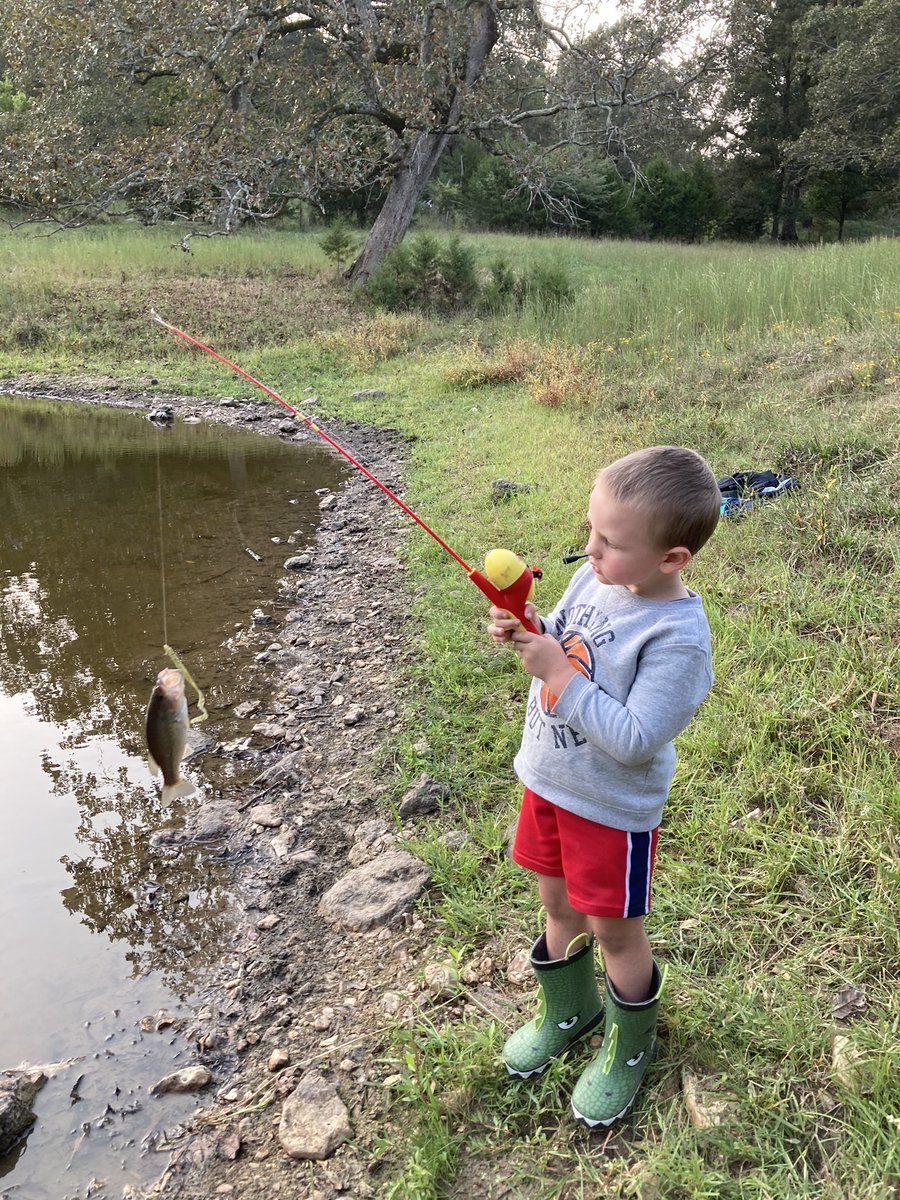 janetwood13's tweet photo. Golden Keen- loves fishing in Grandad and Granny Jan’s pond. #FirstFishAR. https://t.co/yUFOHNQtFA