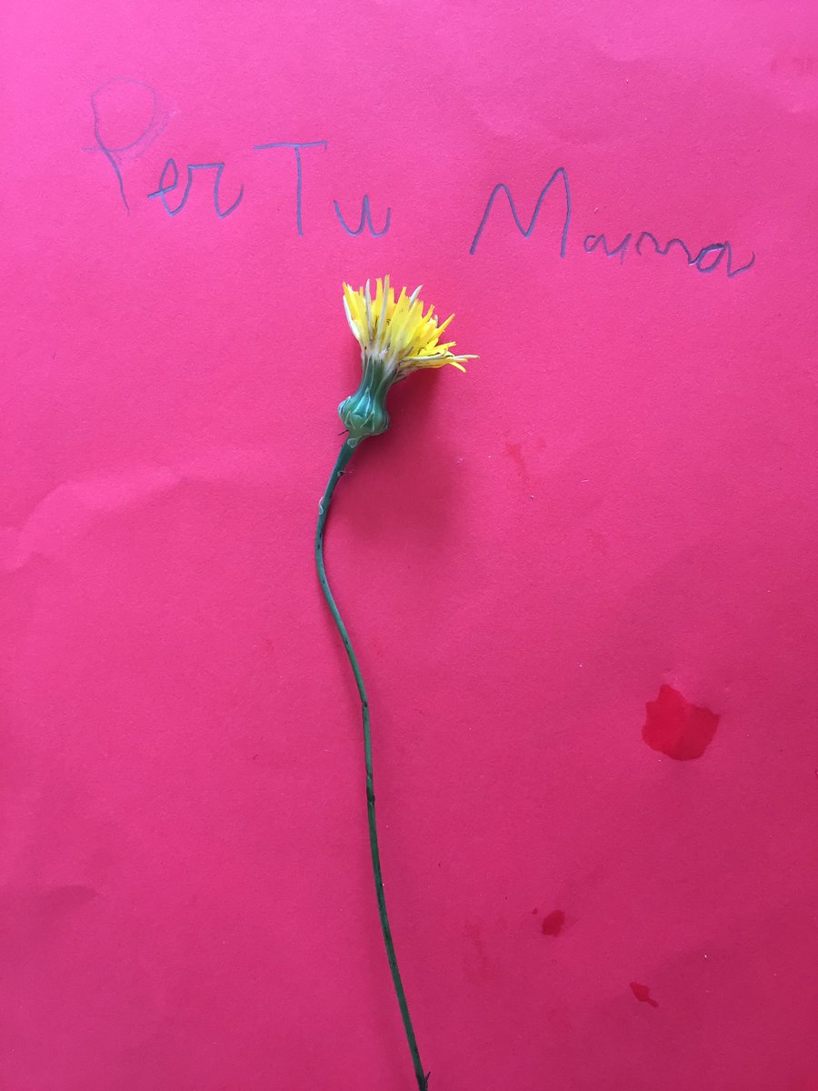 Avui vull fardar de fill ❤️