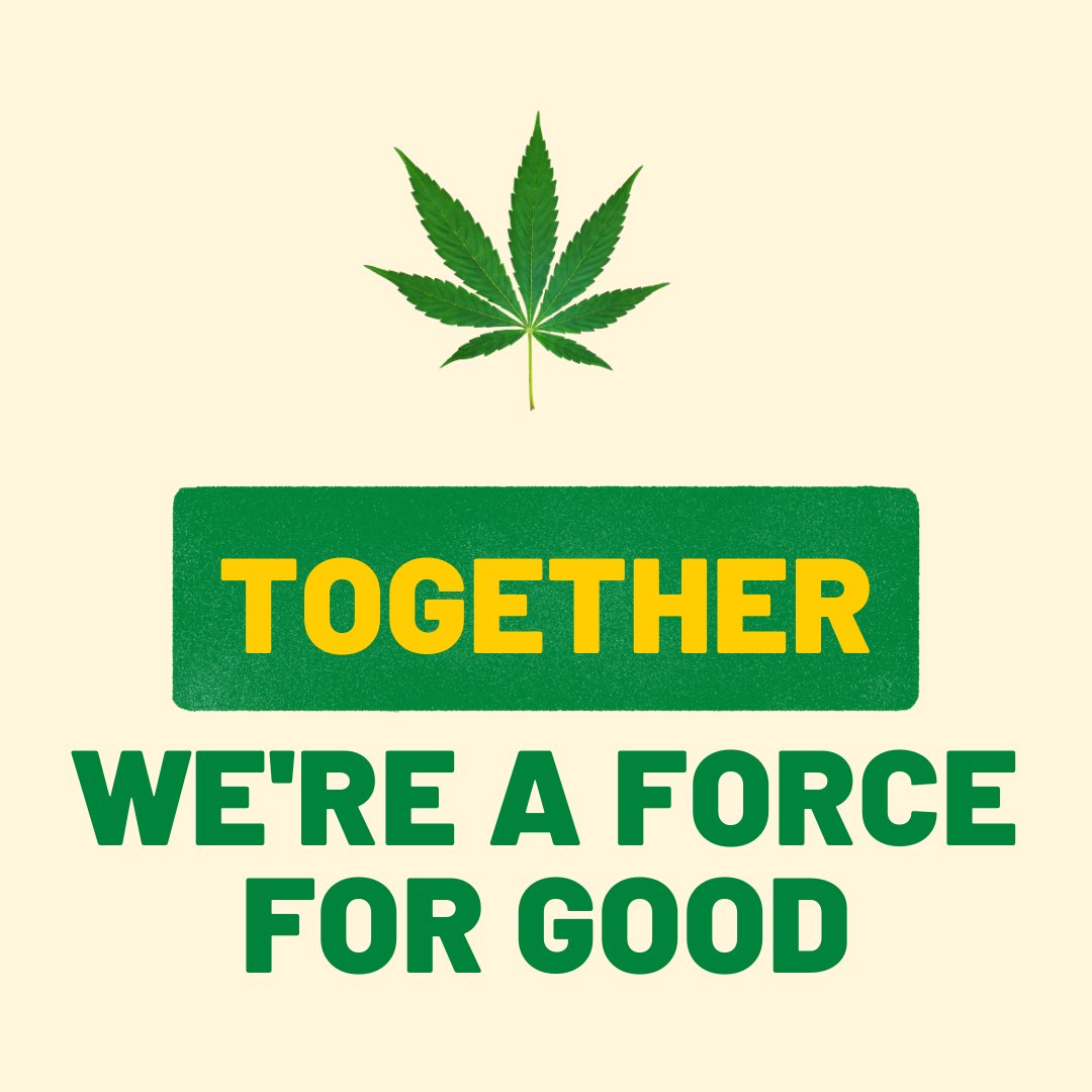 PotLife2's tweet image. Together----------------
#cannabisculture #cannabis #culture #yolo #hipster #smoke #shop #revolution #life #green #smokeshop #potlife #lifeculture #teamtime #vegetation #terrestrialplant #grassfamily #botany #grassy #memoire