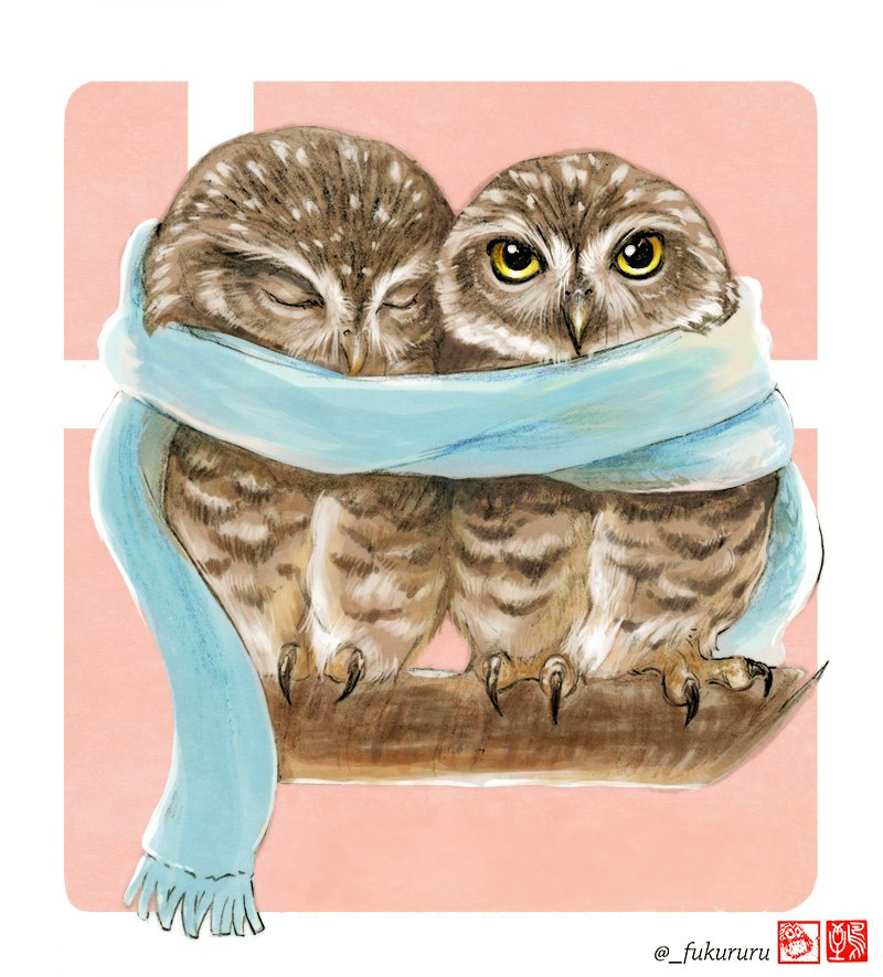 scarf no humans animal focus shared scarf bird owl shared clothes  illustration images