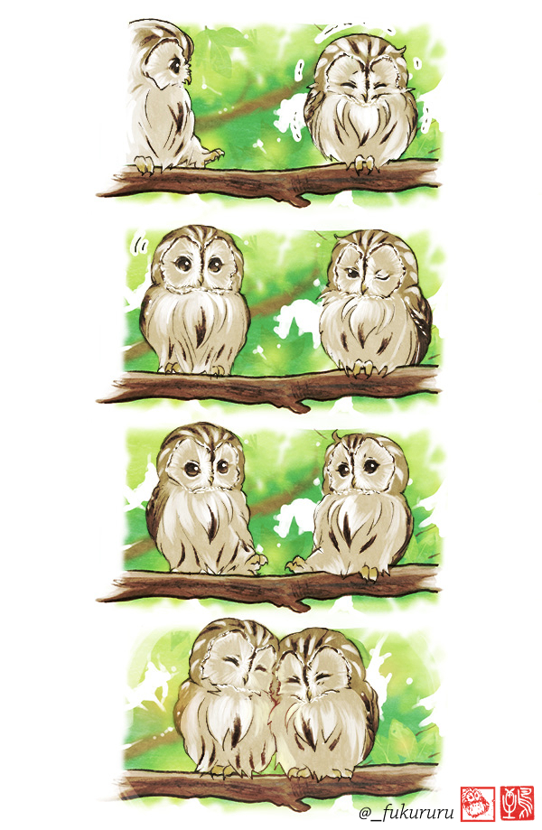 scarf no humans animal focus shared scarf bird owl shared clothes  illustration images