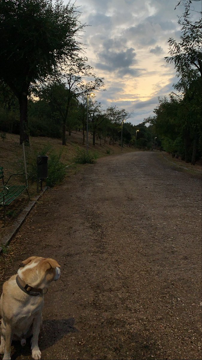 aroa_fernandez8's tweet photo. 🍃☀️ https://t.co/ttI0NQNZCv