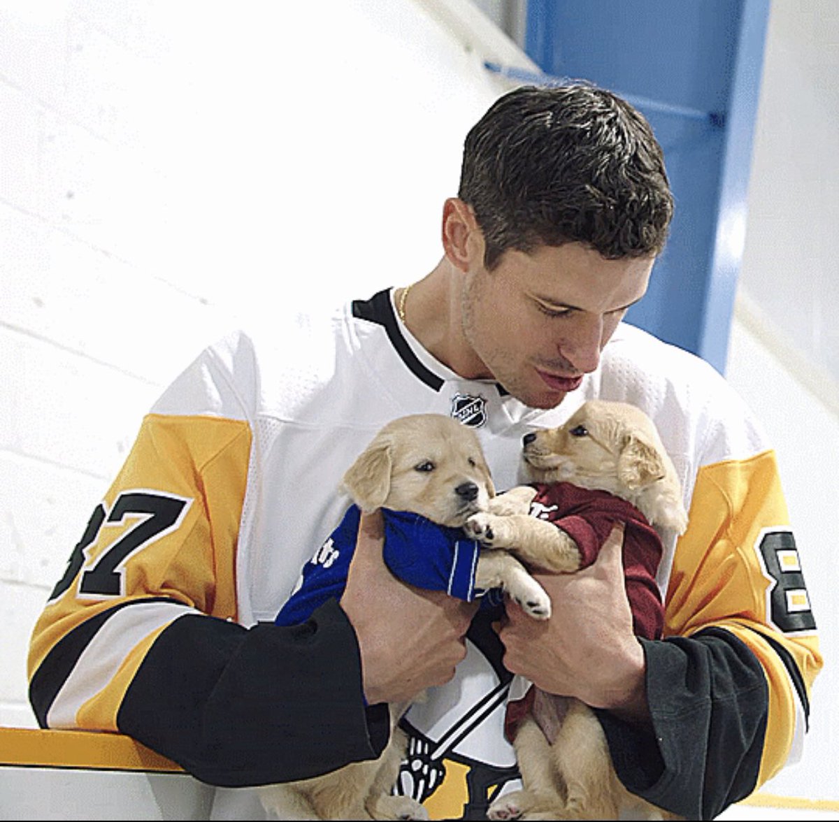 day 48 of nhlers as cute animals: sid as a puppy holding puppies edition 