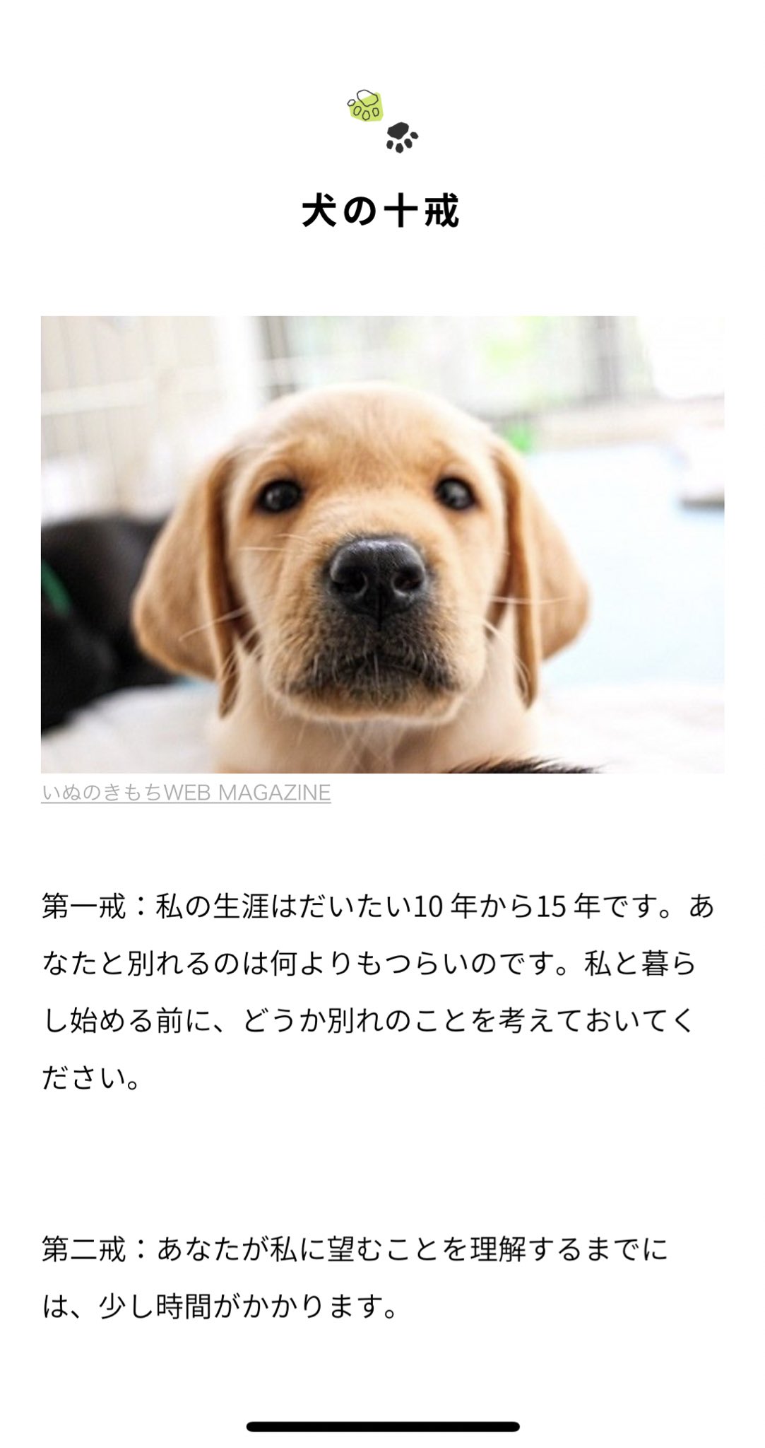 Jospictjapzit 印刷可能 泣ける 犬 の 十戒 3671 泣ける 犬 の 十戒