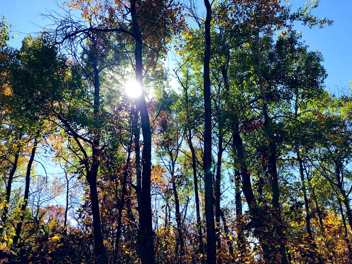vittemily's tweet photo. Beausejour has access to beautiful trails &amp; park in their community. We took the Ss on a nature/photo challenge yesterday. Need to get the kids outside as much as possible! I’m wanted to get as much PD as possible on outdoor classrooms this year ☀️ https://t.co/FbtXO96xfB