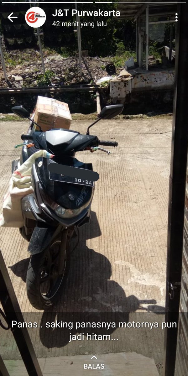 𝙩𝙭𝙩𝙙𝙧𝙨𝙩𝙤𝙧𝙮𝙒𝘼 tweet media