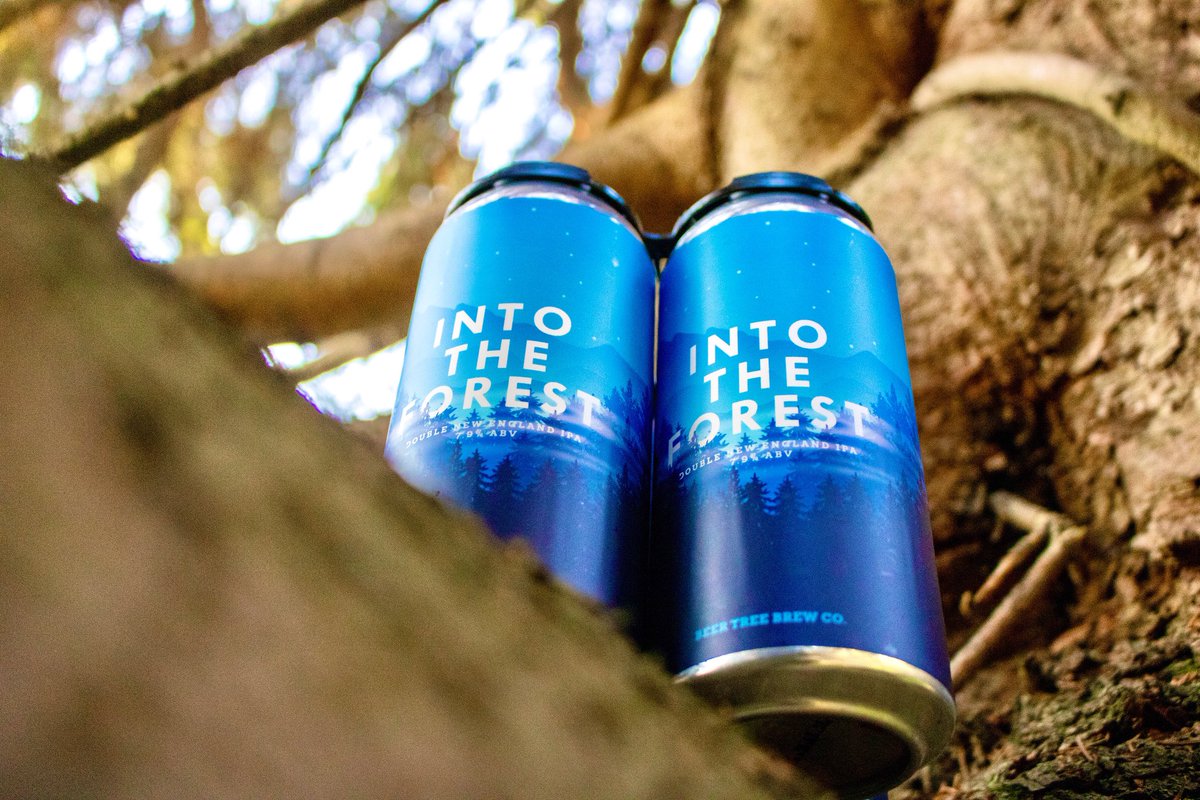 BeerTreeBrew's tweet photo. Official beer of the forest 🌲🐻 #beertreebrewco #intotheforest https://t.co/ha3bEfle0L