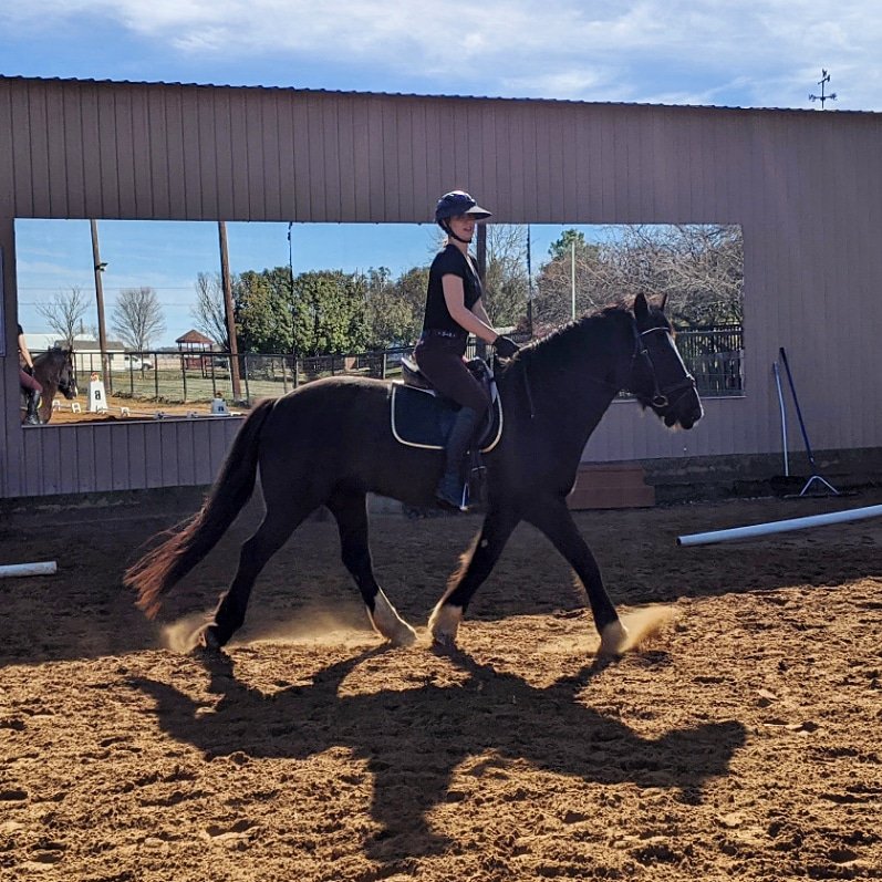 ShesADollFixer's tweet photo. Work today but can't help thinking about what I would really like to be doing on a nice day like this 🐎🍂💕
#draftcross #dressage #fallrides https://t.co/eBi67EhK1s