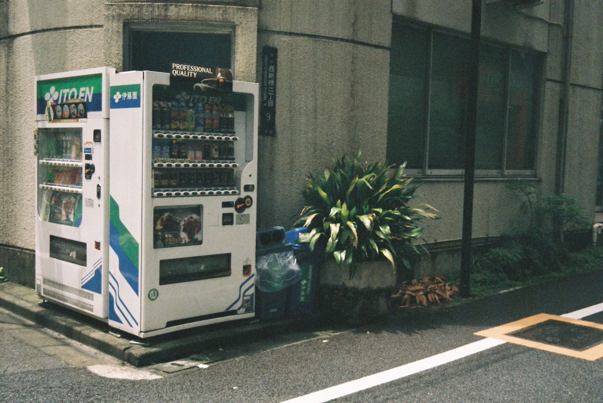 Rinco Koyama / 写真家兼占い師 tweet media