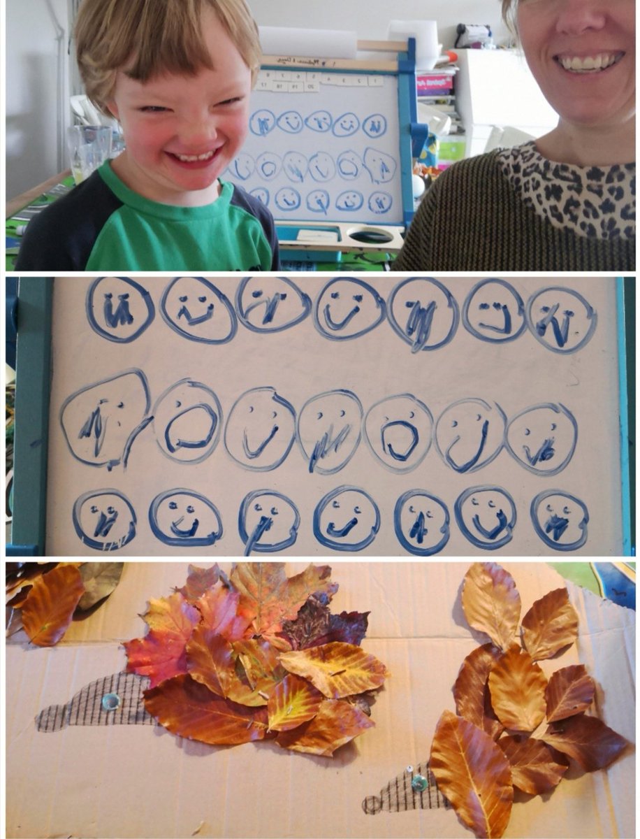 Lisa Savage tweet media