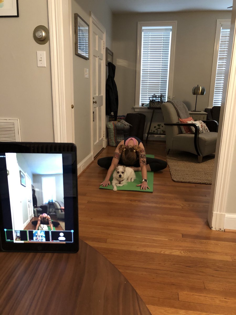 ReyesPEclass's tweet photo. Astro joined me for Yoga this morning! Happy Saturday!! https://t.co/D3CMb9XEUi