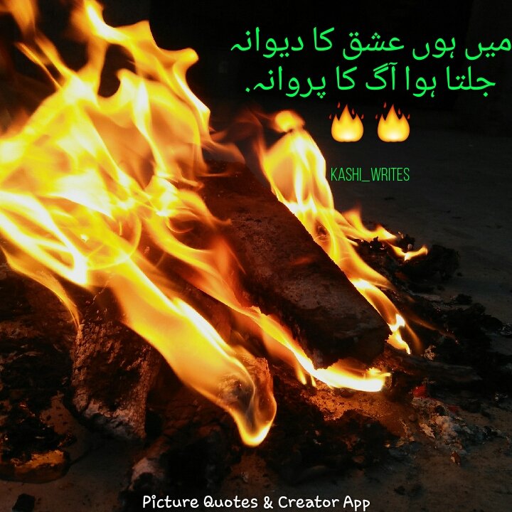 Muhamma44770280's tweet photo. میں ہوں عشق کا دیوانہ
جلتا ہوا آگ کا پروانہ🔥🔥
#poetry #caption #SaturdayThoughts 
#kashi_writes https://t.co/5cnUHVV494