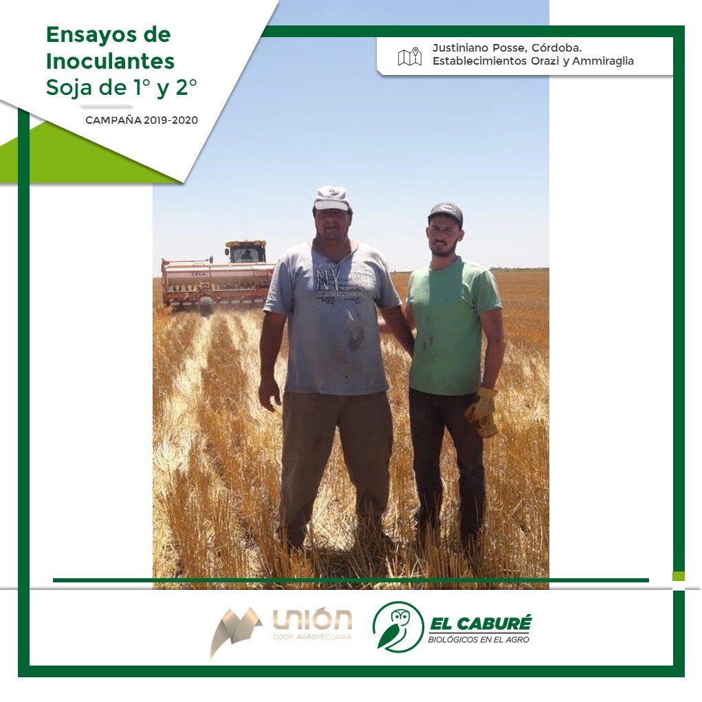 elcabureinsumos's tweet photo. ✅Está comprobada la efectividad de los insumos biológicos en el curado e inoculado de la semilla de soja. 

 🚩Durante la campaña pasada trabajamos junto a 
@AgropUnion en ensayos que arrojaron estos resultados

#ResultadosBio #coopunion #Juntos #ElCabureBiológicosenelAgro #Soja https://t.co/mR7gUgFcb7