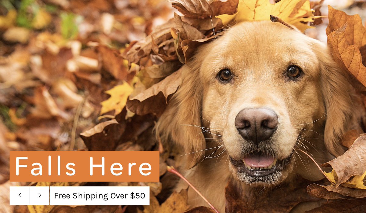 bowzershop's tweet photo. Free shipping for orders over $50. https://t.co/DGOIlswSLo 

#BowzerShop #BowzerShopper #DogLife #CanadianDogs https://t.co/WZq4IE79vc