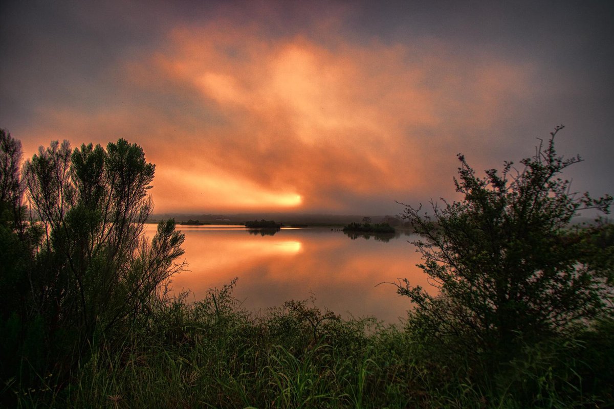 Ronnie Prcin tweet media