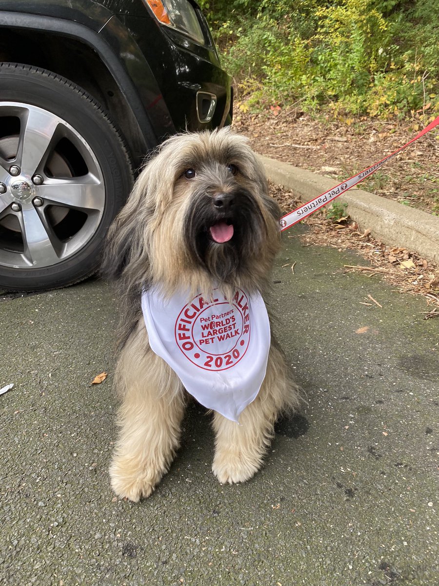 Kay D Mooney tweet media