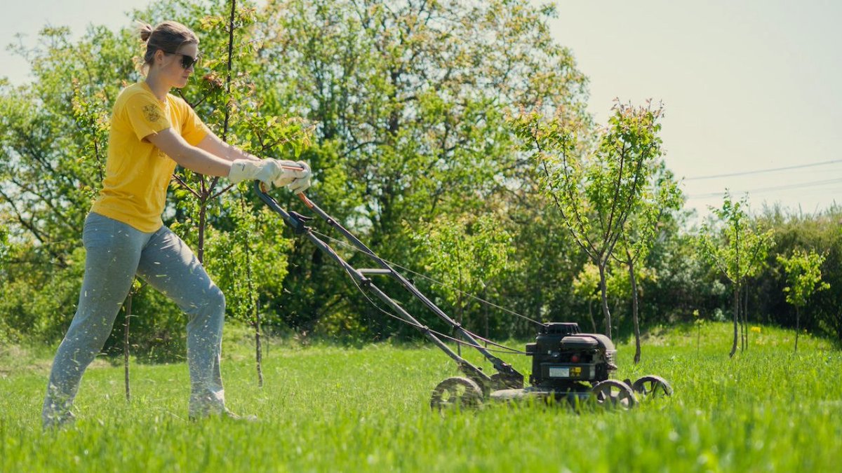 LawnTap's tweet photo. The grass stops here! 🚫

Download the LawnTap Homeowner app and start requesting lawncare today with your smartphone📲 or click https://t.co/7yqS2jQ2Zt for more details.

#lawncare #lawncareservice #mow #edge #trim #affordable #atlanta #ondemand #hasslefree #grass #garden #yard https://t.co/3jDJhJylb4