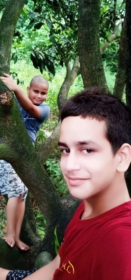 SrajanPandey5's tweet photo. Me and my brother climb up mango tree to take mangoes the mangoes were so sweet .Iwas in my Mosi house this is the mango forest of my mosa https://t.co/JDv40g6LV0